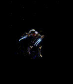 20260111_165544.gif