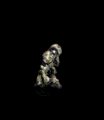 20260111_170558.gif