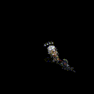 20260112_002822.gif