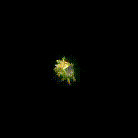 20260112_004947.gif