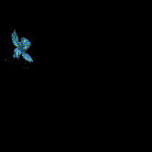 20260112_005408.gif