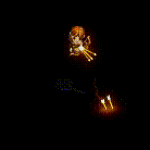 20260112_005445.gif