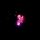 20260112_010506.gif